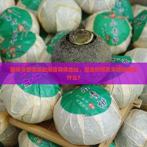 臻味号普洱茶勐海店具体地址、营业时间及交通指南是什么？