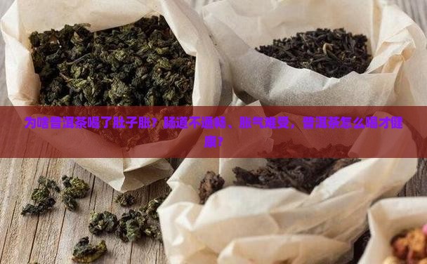 为啥普洱茶喝了肚子胀？肠道不通畅、胀气难受，普洱茶怎么喝才健康？