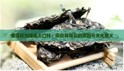 普洱杯为啥是大口杯：探究其背后的原因与文化意义