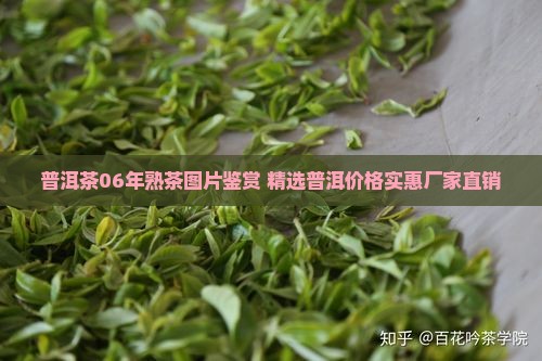普洱茶06年熟茶图片鉴赏 精选普洱价格实惠厂家直销