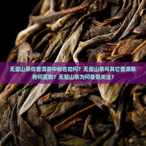 无量山茶在普洱茶中排名如何？无量山茶与其它普洱茶有何区别？无量山茶为何备受关注？