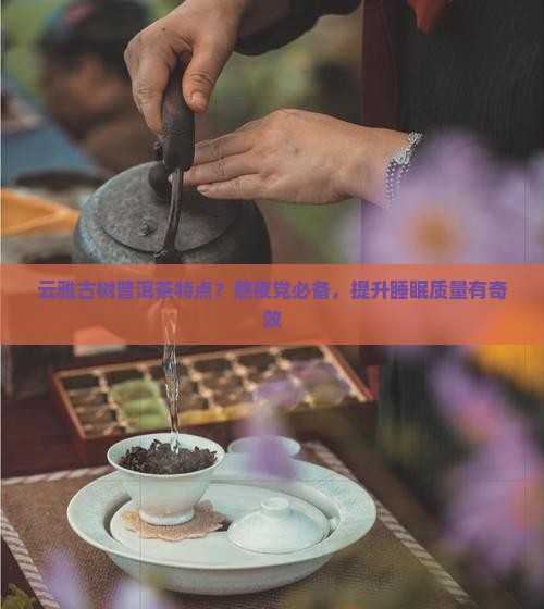 云雅古树普洱茶特点？熬夜党必备，提升睡眠质量有奇效
