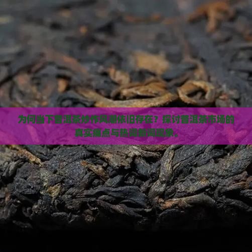 为何当下普洱茶炒作风潮依旧存在？探讨普洱茶市场的真实痛点与热词新词现象。