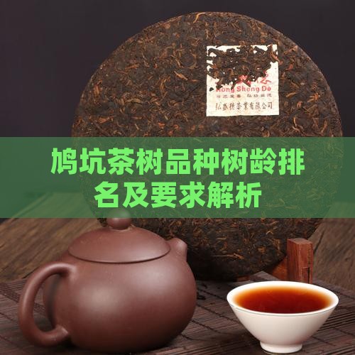 鸠坑茶树品种树龄排名及要求解析