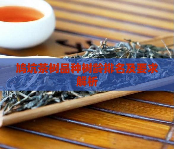 鸠坑茶树品种树龄排名及要求解析