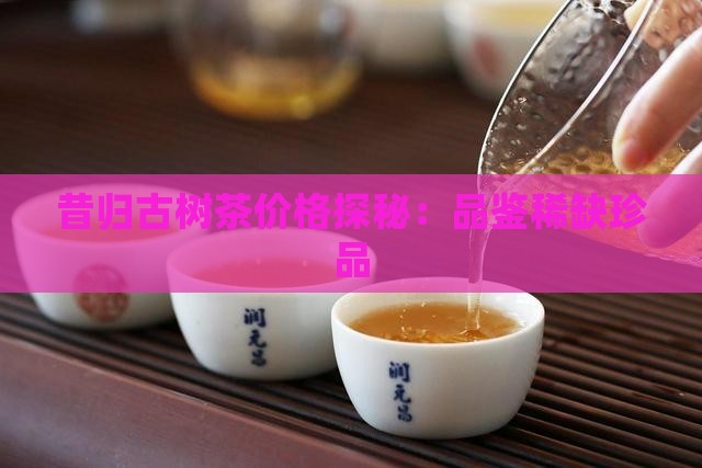 昔归古树茶价格探秘:品鉴稀缺珍品 昔归古树茶价格探秘:品鉴稀缺珍品