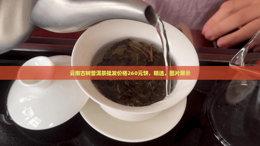 云南古树普洱茶批发价格260元饼，精选，图片展示