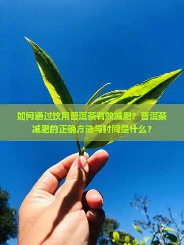 如何通过饮用普洱茶有效减肥？普洱茶减肥的正确方法与时间是什么？