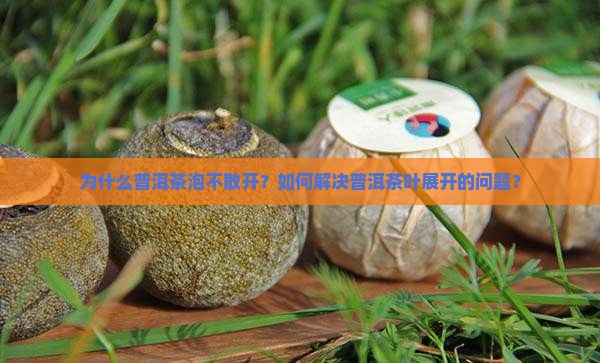 为什么普洱茶泡不散开？如何解决普洱茶叶展开的问题？