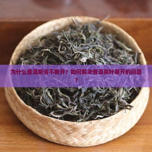 为什么普洱茶泡不散开？如何解决普洱茶叶展开的问题？