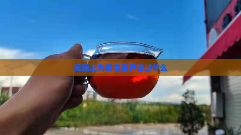吴远之为普洱茶界做过什么