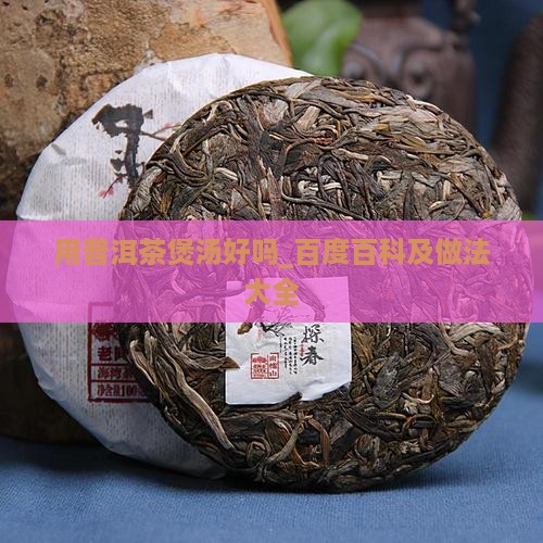 用普洱茶煲汤好吗_百度百科及做法大全