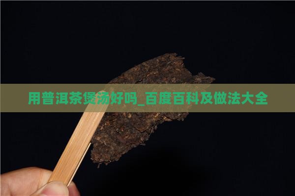 用普洱茶煲汤好吗_百度百科及做法大全
