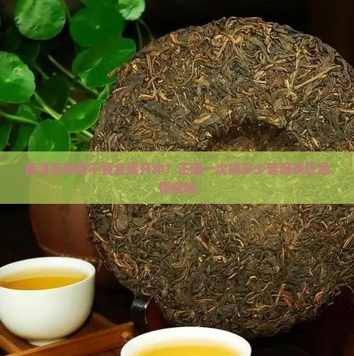 普洱茶饼要不要全撬开冲？正确一次撬多少普洱茶还是慢慢喝