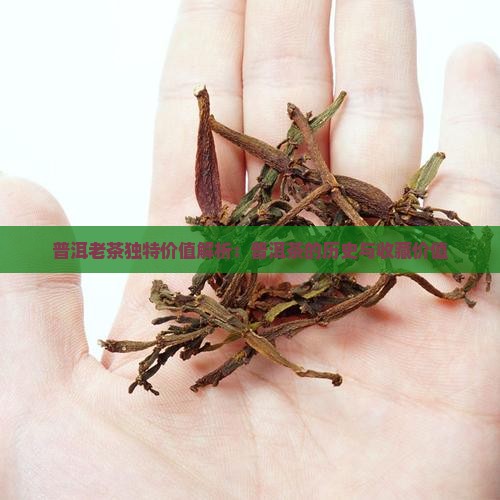普洱老茶独特价值解析：普洱茶的历史与收藏价值