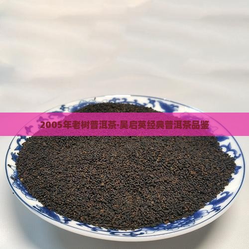 2005年老树普洱茶·吴启英经典普洱茶品鉴
