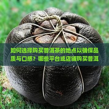 如何选择购买普洱茶的地点以确保品质与口感？哪些平台或店铺购买普洱茶更放心且好喝？