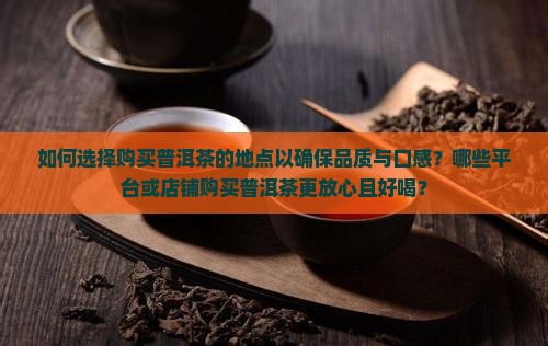 如何选择购买普洱茶的地点以确保品质与口感？哪些平台或店铺购买普洱茶更放心且好喝？