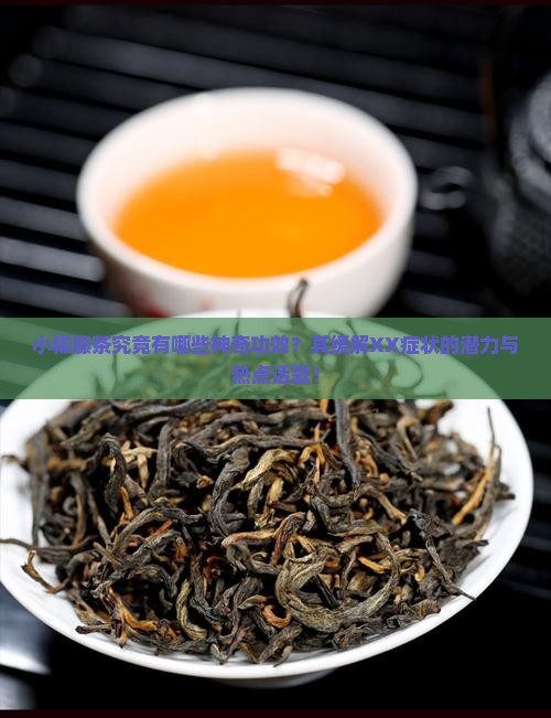 小稀藤茶究竟有哪些神奇功效？其缓解XX症状的潜力与热点话题！