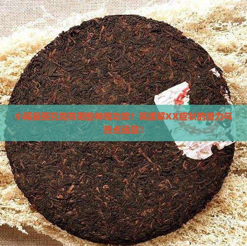 小稀藤茶究竟有哪些神奇功效？其缓解XX症状的潜力与热点话题！