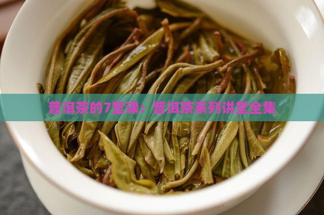 普洱茶的7堂课：普洱茶系列讲堂全集