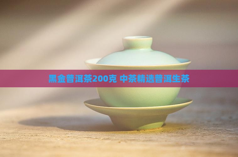 黑金普洱茶200克 中茶精选普洱生茶