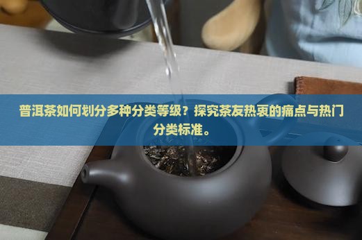 普洱茶如何划分多种分类等级？探究茶友热衷的痛点与热门分类标准。
