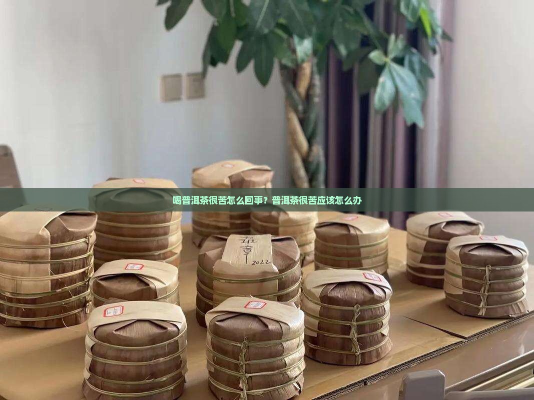 喝普洱茶很苦怎么回事？普洱茶很苦应该怎么办