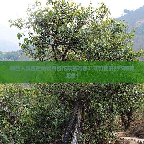 哪些人群应避免饮用百花草益寿茶？其可能的副作用有哪些？