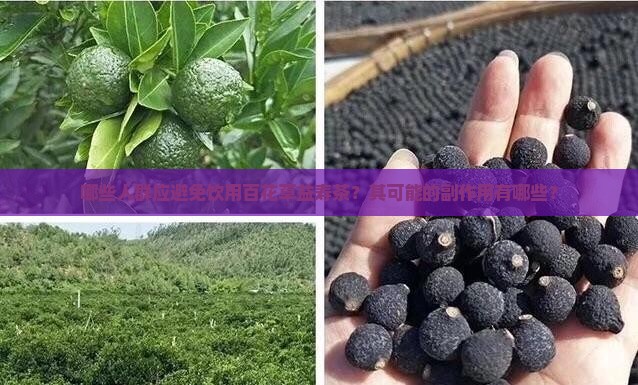 哪些人群应避免饮用百花草益寿茶？其可能的副作用有哪些？