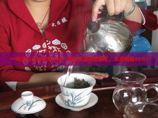 一吨曼松古树茶多少钱？稀缺资源顶流茶王，年涨幅超30%！