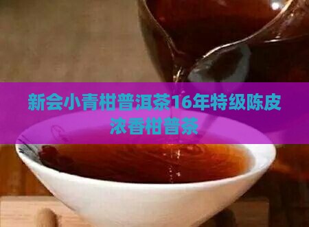 新会小青柑普洱茶16年特级陈皮浓香柑普茶