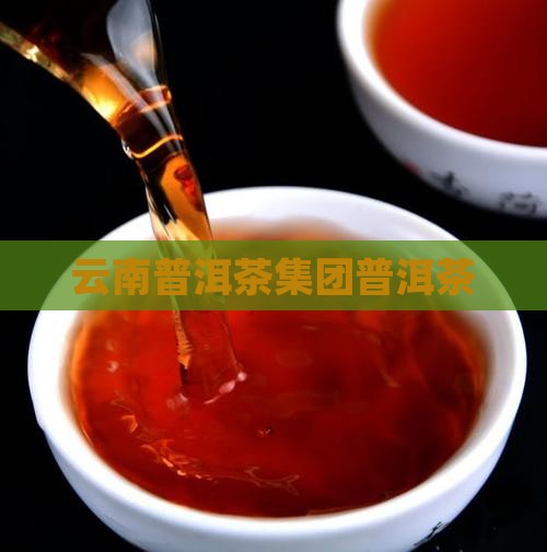 云南普洱茶集团普洱茶