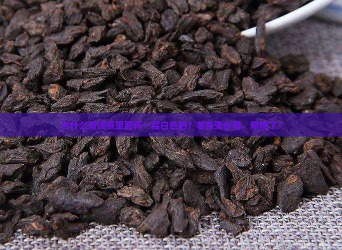 为什么普洱茶里面有一层白色的？老茶鬼必看，爆梗了！