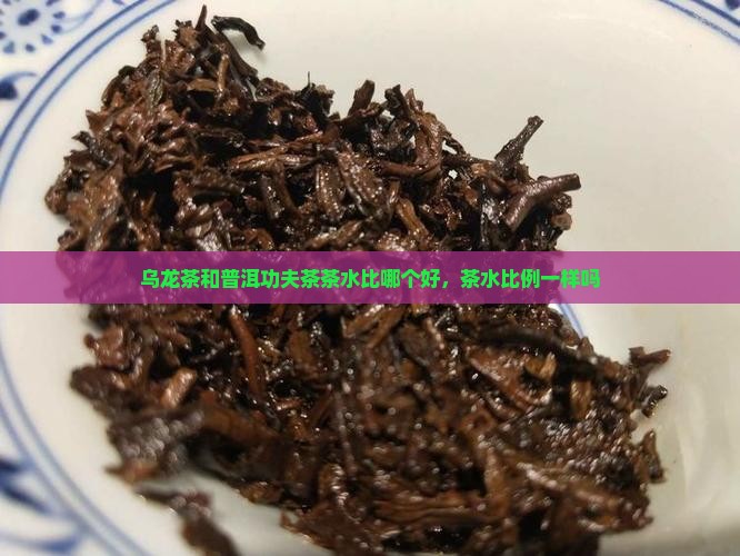 乌龙茶和普洱功夫茶茶水比哪个好，茶水比例一样吗