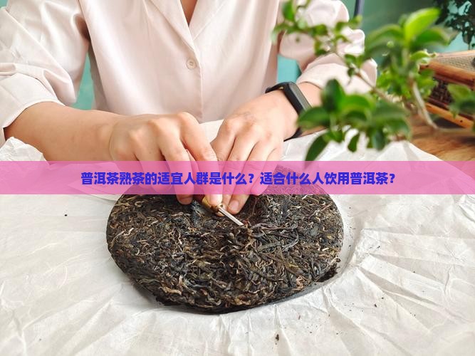 普洱茶熟茶的适宜人群是什么？适合什么人饮用普洱茶？