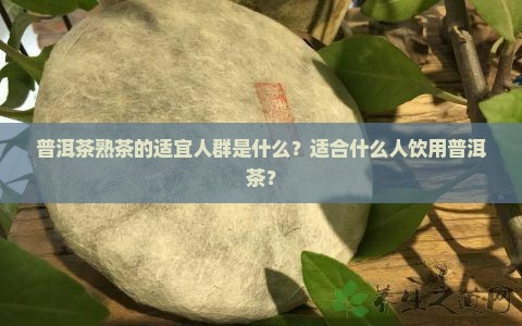 普洱茶熟茶的适宜人群是什么？适合什么人饮用普洱茶？