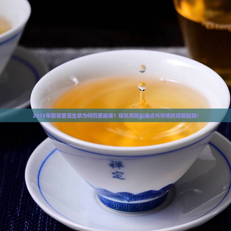 2013年银毫普洱生茶为何仍受追捧？探究其陈化痛点与市场热词新趋势！