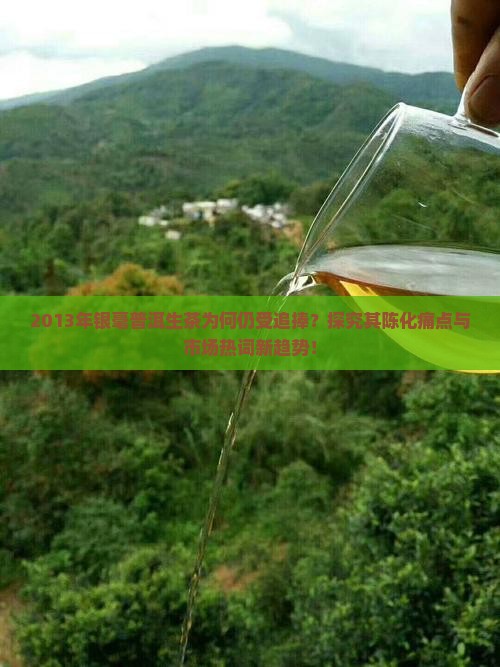 2013年银毫普洱生茶为何仍受追捧？探究其陈化痛点与市场热词新趋势！