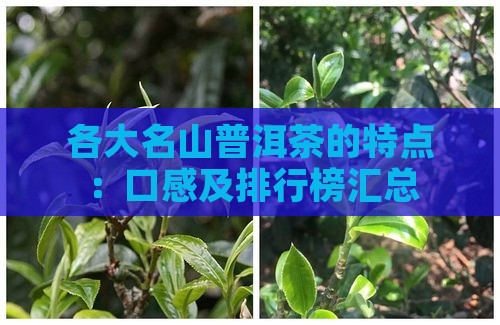 各大名山普洱茶的特点：口感及排行榜汇总