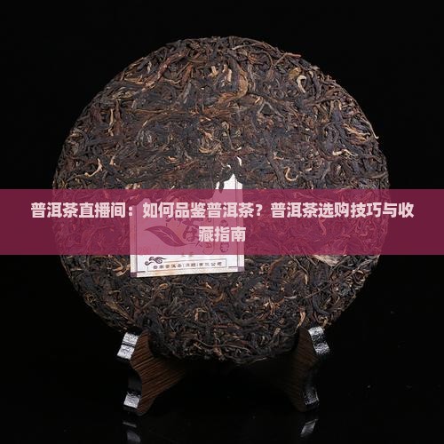 普洱茶直播间：如何品鉴普洱茶？普洱茶选购技巧与收藏指南