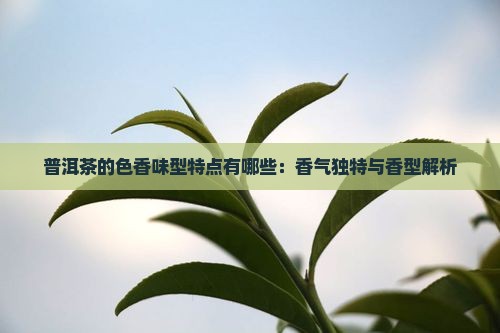普洱茶的色香味型特点有哪些：香气独特与香型解析