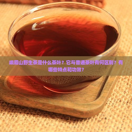 峨眉山野生茶是什么茶叶？它与普通茶叶有何区别？有哪些特点和功效？