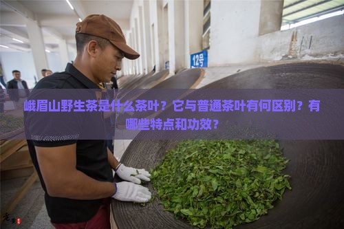 峨眉山野生茶是什么茶叶？它与普通茶叶有何区别？有哪些特点和功效？
