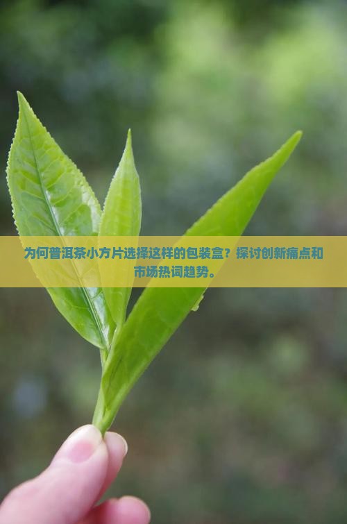 为何普洱茶小方片选择这样的包装盒？探讨创新痛点和市场热词趋势。