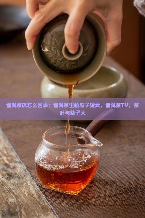 普洱茶瓜怎么回事：普洱茶里藏瓜子疑云，普洱茶TV，茶叶与茶子大
