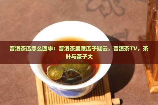普洱茶瓜怎么回事：普洱茶里藏瓜子疑云，普洱茶TV，茶叶与茶子大