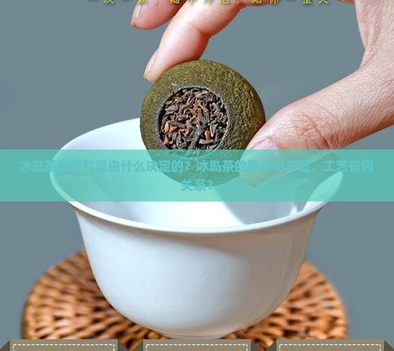 冰岛茶的香气是由什么决定的？冰岛茶的香味与产地、工艺有何关系？