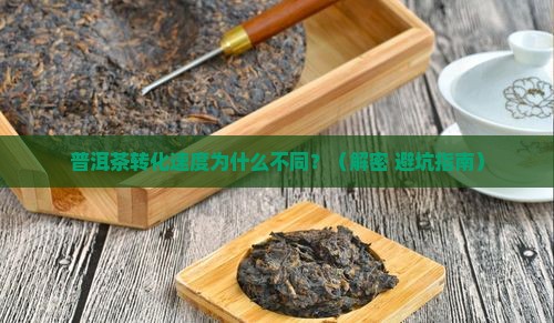 普洱茶转化的科学依据