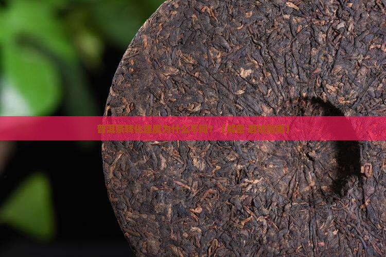 普洱茶转化的科学依据
